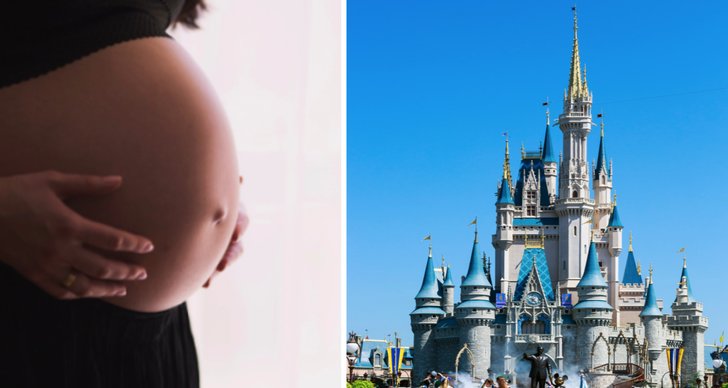 Gravid, Disney, Disney World